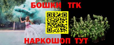 бошки Новодвинск