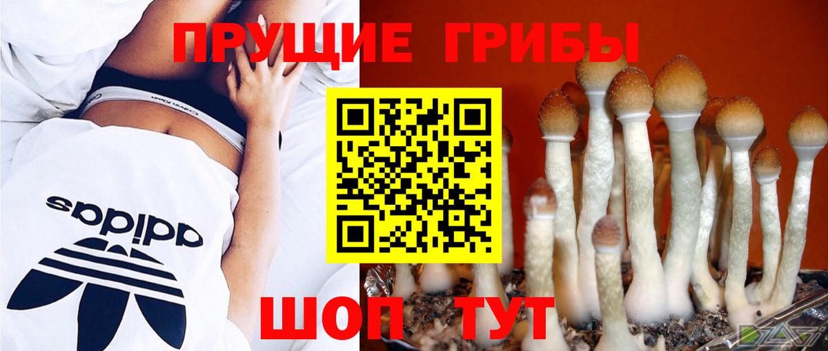 Симферополь  Псилоцибиновые грибы Psilocybine cubensis  Галлюциногенные грибы прущие грибы  Вход с VPN 
